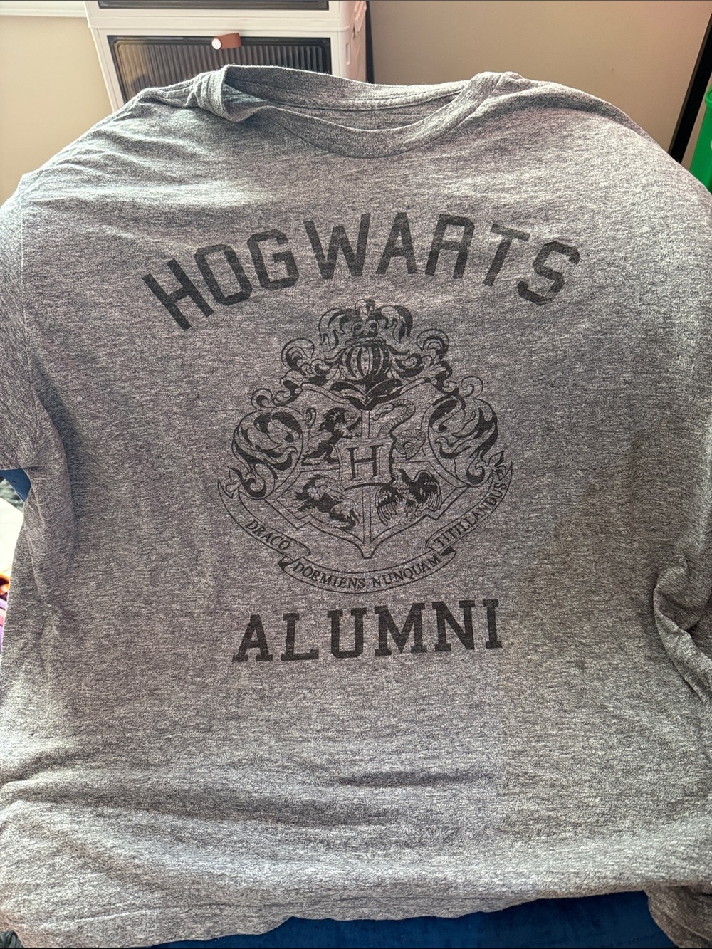 Hogwarts Alumni Graphic Tee - Grey